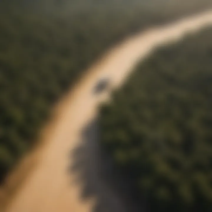 An aerial shot showcasing the vast expanse of an appletree sand rail forest