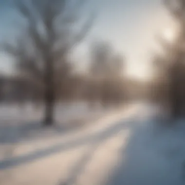 Snow-covered landscape of Brownwood in winter