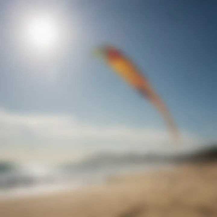 Variety of kites for kitesurfing showcased on a beach