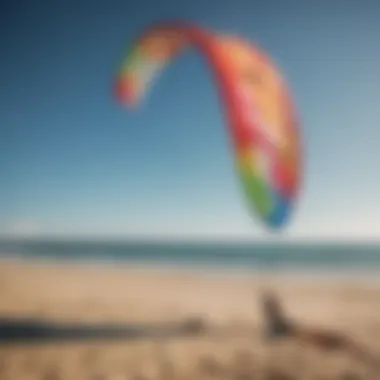 A vibrant selection of Cabrinha kites displayed on a sunny beach.