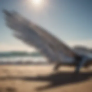 Intricate Design of Charger Wings