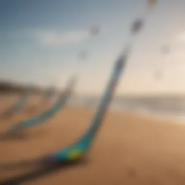 A group of kites lined up on a sandy beach