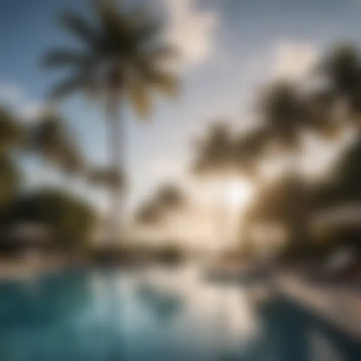 Luxurious pool area surrounded by palm trees and comfortable loungers