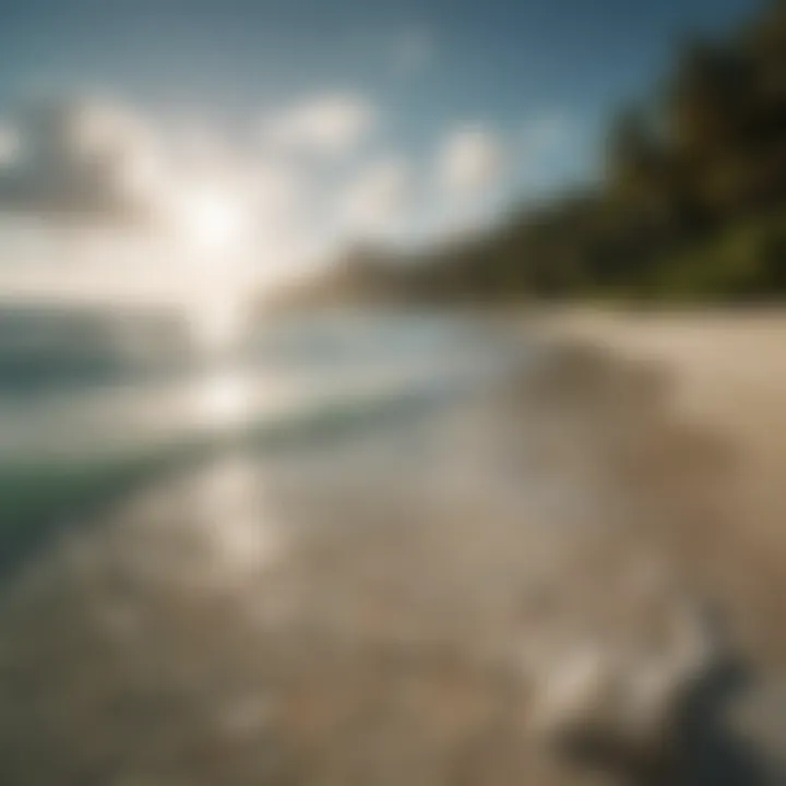 Crystal-Clear Waters of Coconut Beach