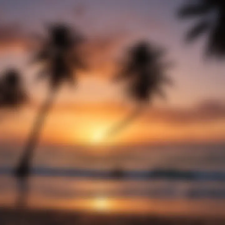 Palm Trees Silhouetted Against Sunset at Coconut Beach