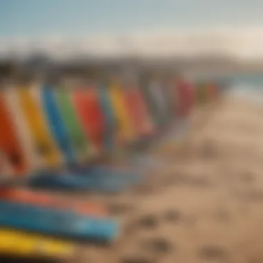 Colorful kiteboards lined up on the sandy beach of San Carlos