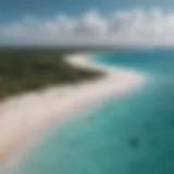 A panoramic view of Diani Beach showcasing its pristine white sands and azure waters