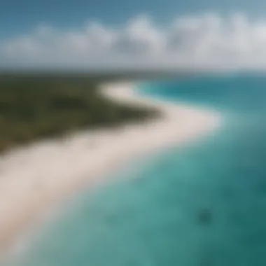 A panoramic view of Diani Beach showcasing its pristine white sands and azure waters