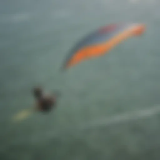 Variety of kite clips showcasing different designs and materials used in kitesurfing