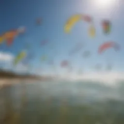 A vibrant assortment of kiteboarding kites displayed in a sunny beach setting