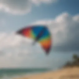 Vibrant display of custom kites showcasing unique designs