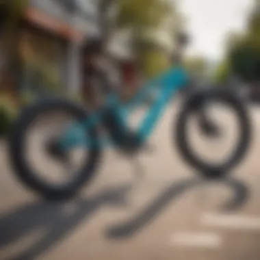 Cutting-Edge Technology of Pedego Electric Bike