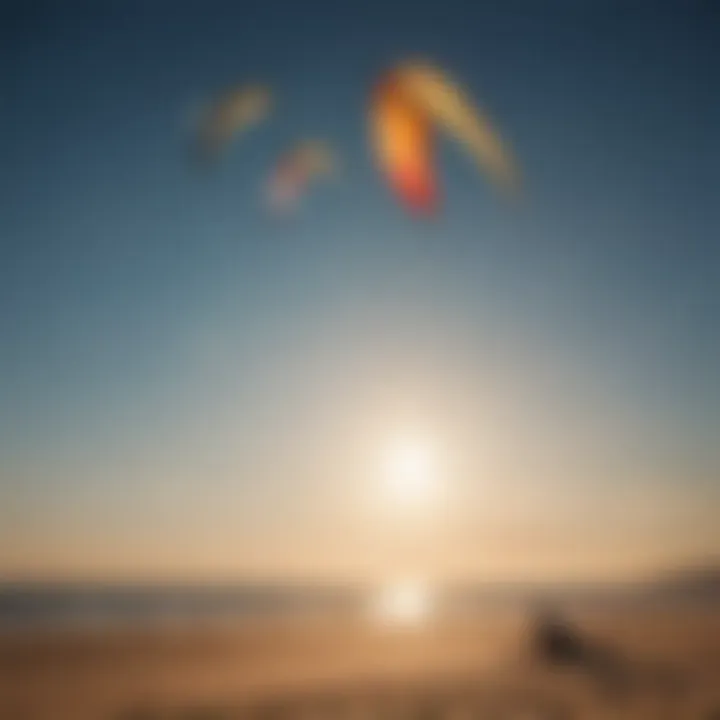 Diverse range of Duotone kites displayed on the beach.