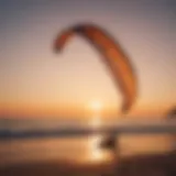 An advanced Duotone kite soaring against the sunset.