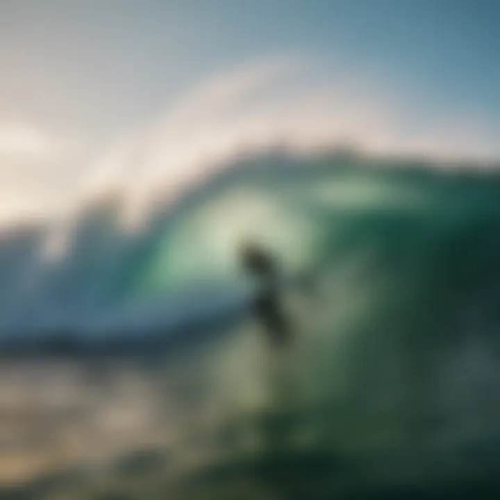 Dynamic Waves at Tourmaline Surf Park