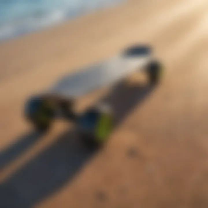 Eco-Friendly Material Electric Skateboard