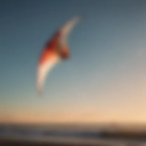 Elegant Cloth Kite Soaring in the Sky