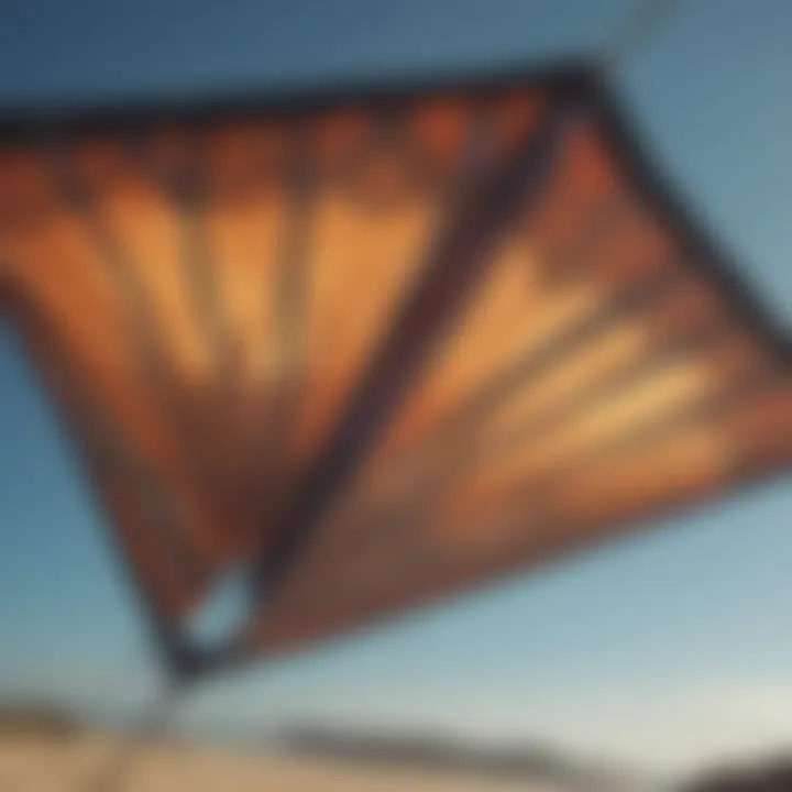 Close-up of a duotone kite's intricate design and fabric