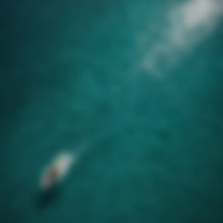 Aerial view of kitesurfing on a turquoise ocean