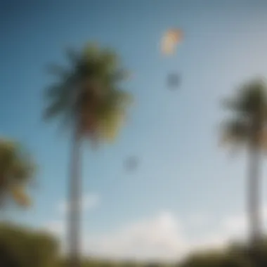 Kitesurfer performing impressive aerial tricks against a backdrop of palm trees