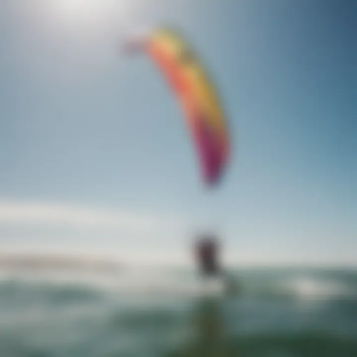 Kitesurfing enthusiasts enjoying a sunny day on the water with North kites