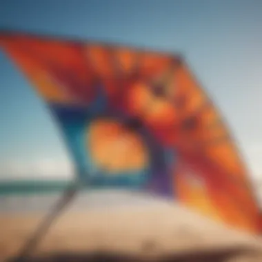 Close-up of a high-performance kite demonstrating intricate design features.