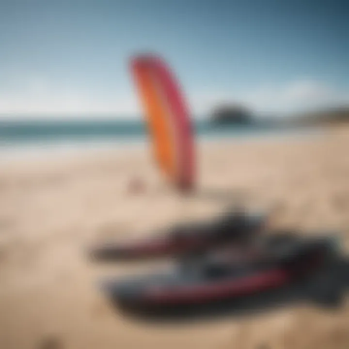 A variety of kites and boards arranged on the sandy shore, highlighting different types of equipment.