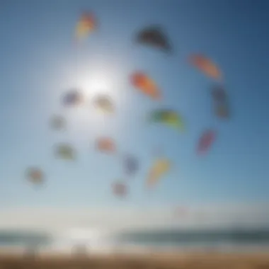 A collection of various used kites displayed for sale