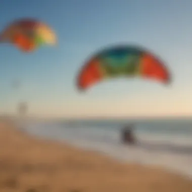 Comparison of New and Used Kites Diagram illustrating key differences between new and used kites