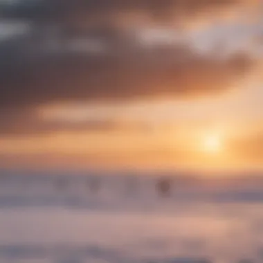 A group of enthusiasts engaged in a snow kite surfing session against a beautiful sunset