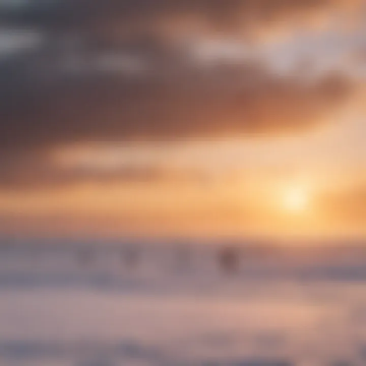 A group of enthusiasts engaged in a snow kite surfing session against a beautiful sunset