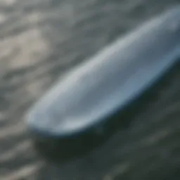 A close-up view of a water foil surfboard showcasing its innovative design