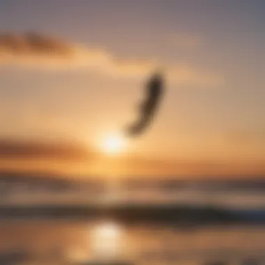 Beautiful sunset backdrop showcasing a peaceful kiteboarding session