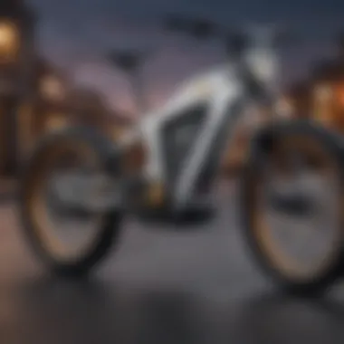 Close-up of the advanced technology integrated into the Mac Electric Bike.