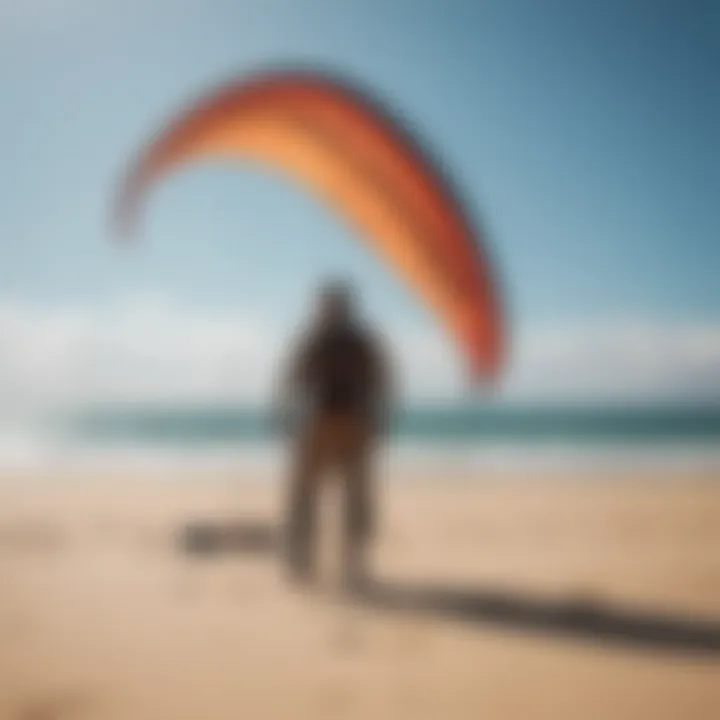 A well-maintained North Reach Kite displayed in a sunny environment, emphasizing care tips.