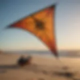 Detailed view of the Slingshot Kite showcasing its unique design features