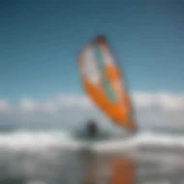 Comparative Analysis of Kitesurfing Wings Comparison of the Freewing with other kitesurfing wings displayed side by side