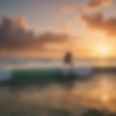 A group of surfers enjoying a sunset session on the beach.