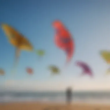 An array of colorful kites showcasing different designs and sizes for kitesurfing