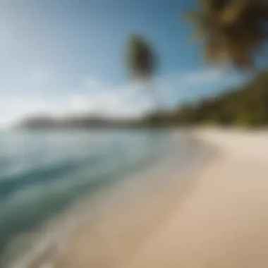 A pristine beach on Union Island, perfect for relaxation and kitesurfing.