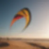 Elegant kite line design in motion