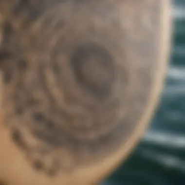 Close-up of intricate circle tail pattern on a kiteboard