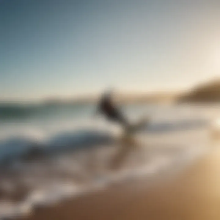 A picturesque beach scene featuring kitesurfers enjoying Flexifoil equipment