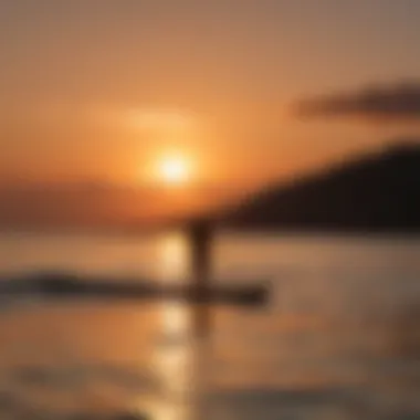 Sunset Silhouette of Paddle Boarder with Flying Fish