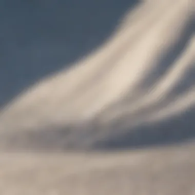 Close-up of Gildan crop top fabric texture under the sunlight