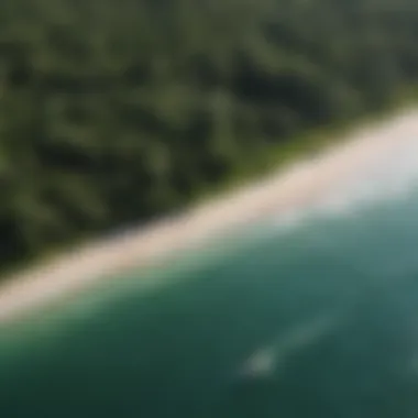 Verdant Gulf of Mexico Coastline Lush Greenery Along Gulf Coastline