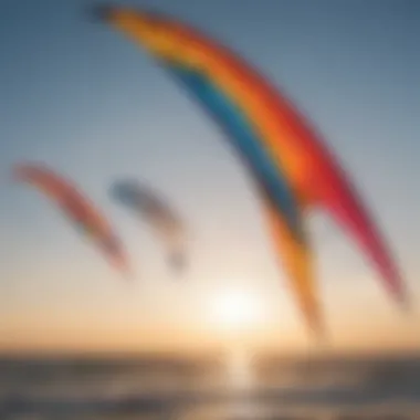 An array of popular HQ sport kite models displayed together