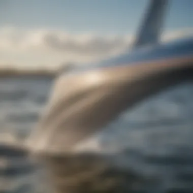 Close-up of a hydrofoil fuselage on a sunny day