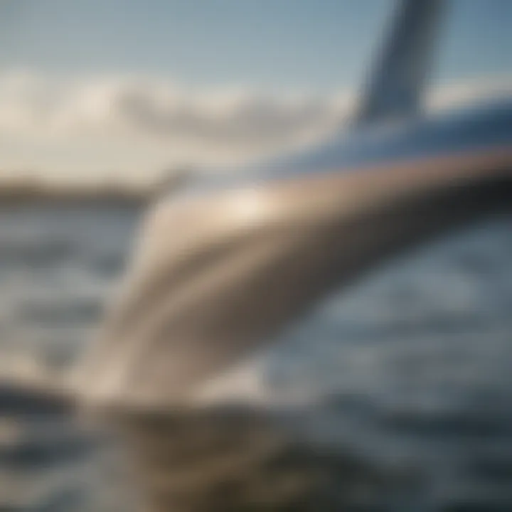 Close-up of a hydrofoil fuselage on a sunny day