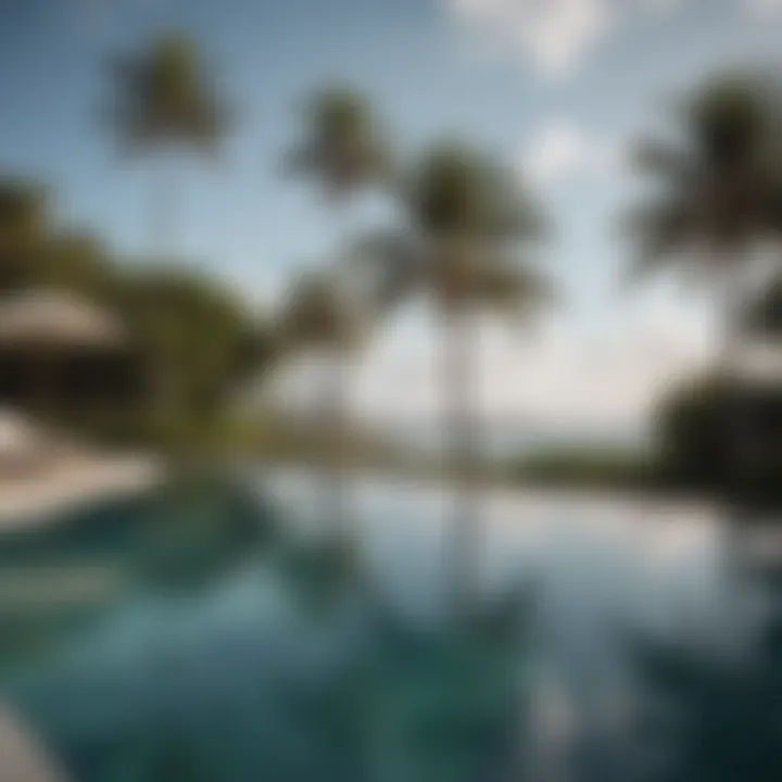 Infinity Pool Reflections at Hotel Salinas Bani